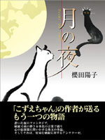 月の夜